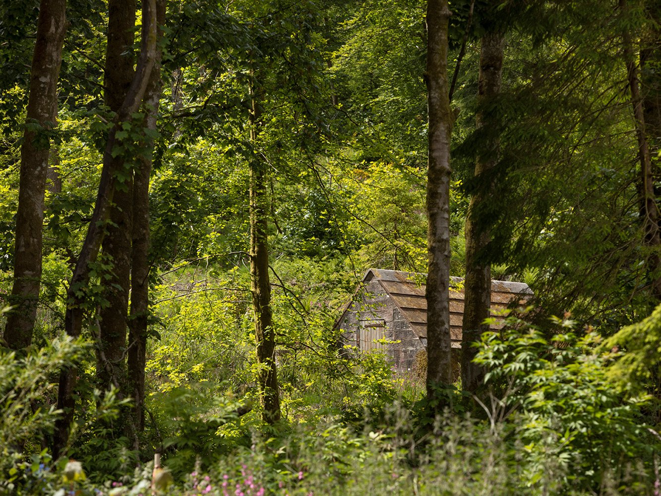 Woodland Walks Laundry Cottage Woodland Walks on the doorstep